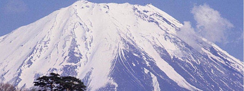 �Ⴊ���Ґ��̐l�ޏЉ�̃g�D�����[�u���C�g���T�C�g